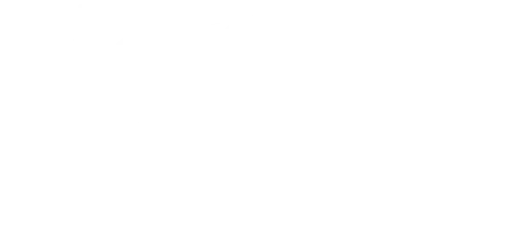 Verajohn footer logo